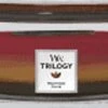 WoodWick Trilogy HearthWick Flame Ellipse Candle Hearthland -WoodWick 1200x581 1