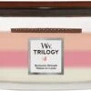 Woodwick Trilogy Blooming Orchard Ellipse Candle - Geurkaars 2 Woodwick Trilogy Blooming Orchard Ellipse Candle - Geurkaars -WoodWick 1200x581