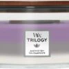 WoodWick Trilogy Heartwick Ellipse Geurkaars - Amethyst Sky -WoodWick 1200x593 1