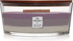WoodWick Trilogy Heartwick Ellipse Geurkaars - Amethyst Sky 12 WoodWick Trilogy Heartwick Ellipse Geurkaars - Amethyst Sky -WoodWick 1200x667
