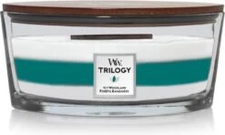 WoodWick Trilogy - Icy Woodland Ellipse Jar