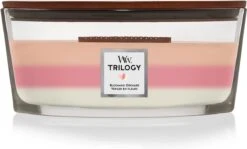 Woodwick Trilogy Blooming Orchard Ellipse Candle - Geurkaars -WoodWick 1200x726