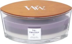 WoodWick Trilogy Heartwick Ellipse Geurkaars - Amethyst Sky 13 WoodWick Trilogy Heartwick Ellipse Geurkaars - Amethyst Sky -WoodWick 1200x750 1