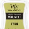 WoodWick Wax Melt Fern -WoodWick 758x1200 5