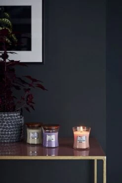 WoodWick Geurkaars Mini Pressed Blooms & Patchouli - 8 Cm / ø 7 Cm 8 WoodWick Geurkaars Mini Pressed Blooms & Patchouli - 8 Cm / ø 7 Cm -WoodWick 800x1200 29