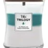 WoodWick Trilogy - Icy Woodland Medium Jar
