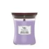 WoodWick Amethyst & Amber Medium Candle -WoodWick woodwick amethyst amber medium candle 1000x1000 62c3dce0b1020 l