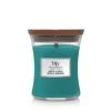 WoodWick Juniper & Spruce Medium Candle 1 WoodWick Juniper & Spruce Medium Candle -WoodWick woodwick juniper spruce medium candle 1000x1000 62c3eb0f62384 l