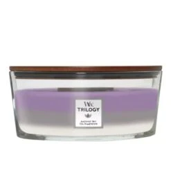 WoodWick Trilogy Amethyst Sky Ellipse Candle