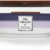 WoodWick Trilogy Ellipse Candle Evening Luxe